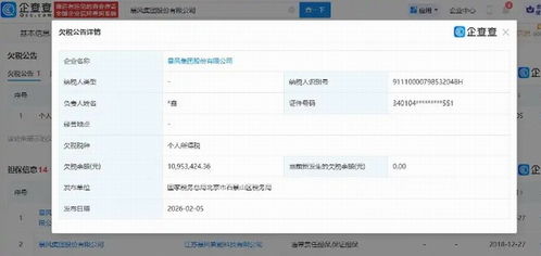 暴風集團深陷債務漩渦 欠稅超千萬，未履行債務逾8億，互聯網服務前景堪憂